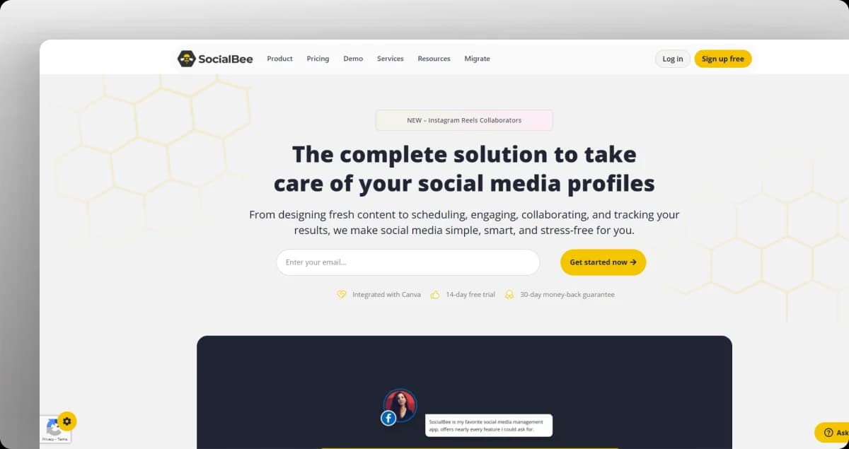 SocialBee