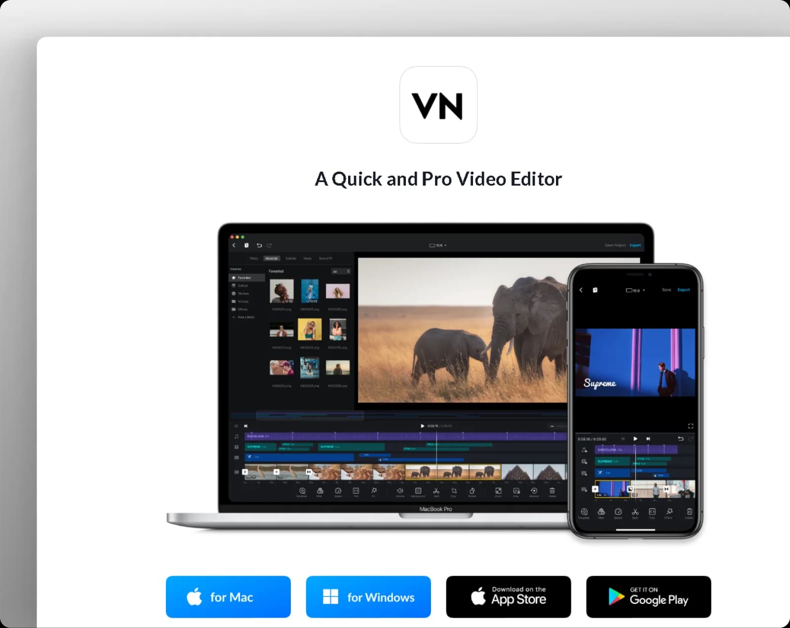 VN Editor